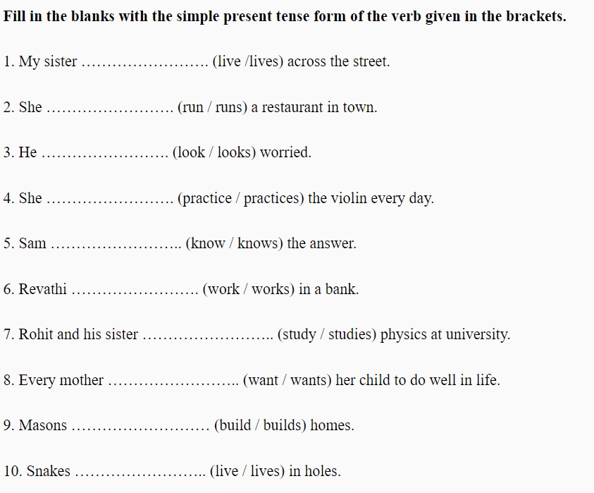 simple present tense worksheet for beginner level ESL students