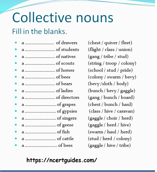 collective-nouns-worksheet-for-class-6-ncert-guides-com