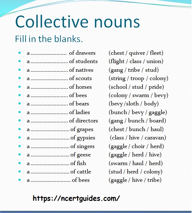 Collective Nouns Worksheet For Class 6 NCERT Guides Com