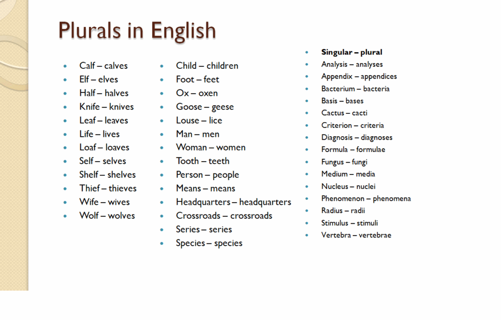 Plurals in English worksheet